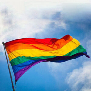 Rainbow Flag Lesbian Gay Trans Pride LGBT