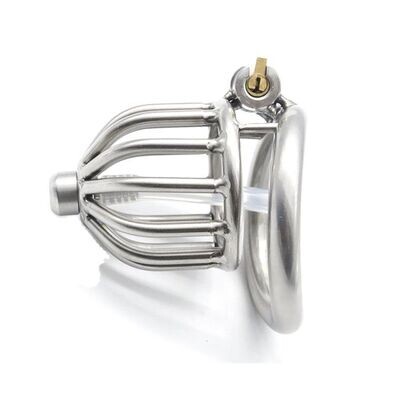 Stainless Steel Chastity Device Stealth Lock Curved Ring 3 Stainless Steel Chastity Device Stealth Lock Curved Ring - Image 3