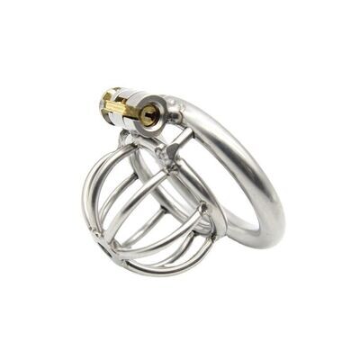 Stainless Steel Chastity Cage Stealth lock Curved Ring 4 Stainless Steel Chastity Cage Stealth lock Curved Ring - Image 4