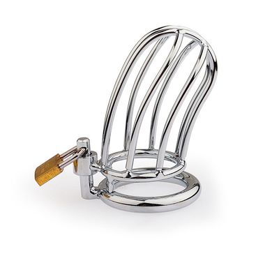 Stainless Steel Small Bird Chastity Cage 2 Stainless Steel Small Bird Chastity Cage - Image 2