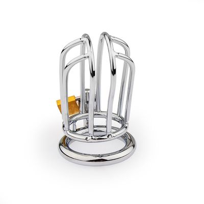 Stainless Steel Small Bird Chastity Cage 4 Stainless Steel Small Bird Chastity Cage - Image 4