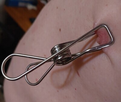 Stainless Steel Nipple Body Clips (Pair) 8 Stainless Steel Nipple Body Clips (Pair) - Image 8