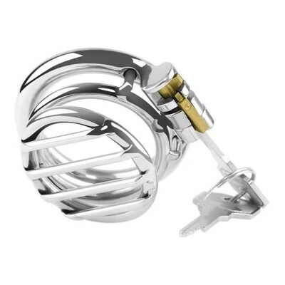 Jail Bars Stainless Steel Chastity Cage 7 Jail Bars Stainless Steel Chastity Cage - Image 7